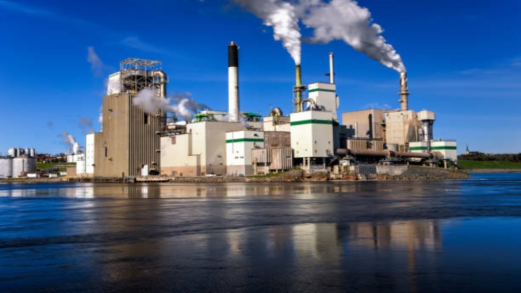 Why Ignoring Organizational Environmental Pollution is Bad for Business and the Planet